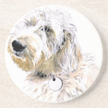 Butters the Labradoodle Drink Coaster