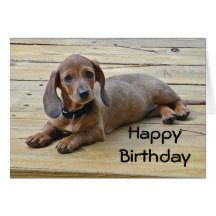 BW- Dachshund Puppy Birthday Card