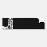 BW Horse Bumper Stickers