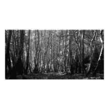 BW Trees Personalised Photo Card