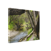 By The Creek Stretched Canvas Prints