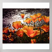 By the river posters