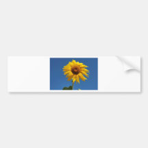 BZH22-0810-35 BUMPER STICKERS