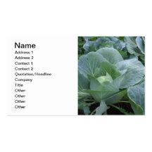 Cabbage Business Card Template