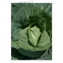 Cabbage Greeting Card