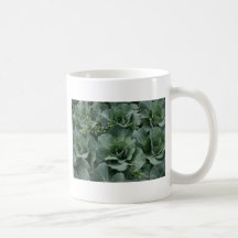 Cabbage Mug