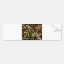 Cabo Lizzard 2 Bumper Sticker