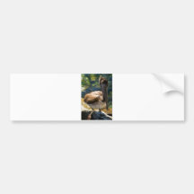 Cabo Pelican 2 Bumper Stickers