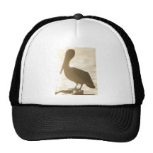 Cabo Pelican 3 Mesh Hat