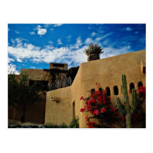 Cabo San Lucas, Baja, Mexico  flowers Post Cards