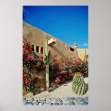 Cabo San Lucas, Baja, Mexico  flowers Poster