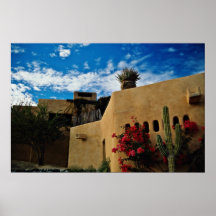 Cabo San Lucas, Baja, Mexico  flowers Print
