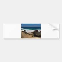 Cabo San Lucas beach 27 Bumper Sticker