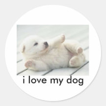 cachorros, i love my dog round stickers