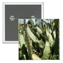 Cacti Buttons