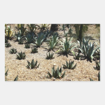Cacti Field Rectangular Sticker