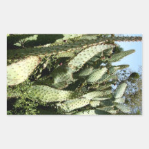 Cacti Rectangular Sticker