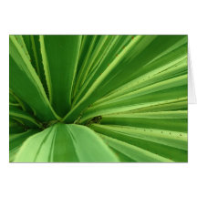 Cactus Approach Greeting Card