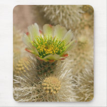 Cactus Bloom Mouse Mat