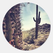 Cactus Closeup Round Stickers