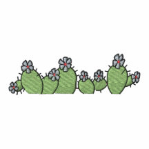 Cactus Embroidered Hoody