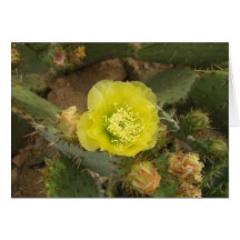 Cactus Flower Card