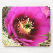 Cactus Flower Mouse Pads