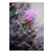 Cactus Flower note card