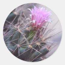 Cactus Flower Sticker