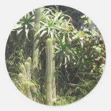 Cactus Garden Sticker