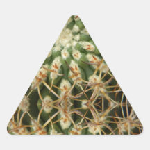 Cactus May 2013 Triangle Sticker