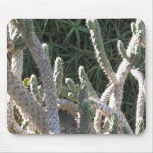 Cactus Mouse Mats