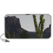 cactus over Bell Rock Travelling Speakers
