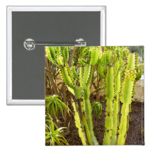 Cactus Pinback Button