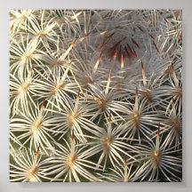 Cactus Poster
