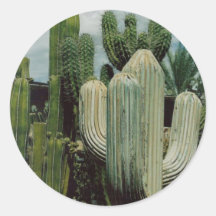 Cactus Round Stickers