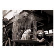 Caged Beasts, Mini Photo Business Card Templates