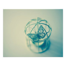 Caged Butterfly Photo