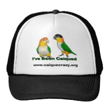 Caique Hat