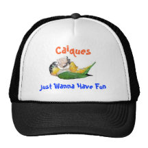 Caiques Just Wanna Have Fun Trucker Hat