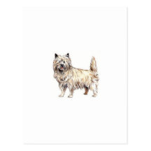 Cairn Terrier Postcards