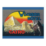 Cairo Egypt Vintage Travel Postcard