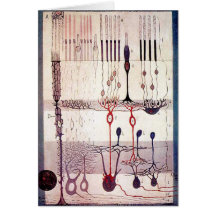 Cajal Greetings Greeting Cards