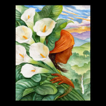 Cala Lilies Flowers Native Woman Figure Art Print posters