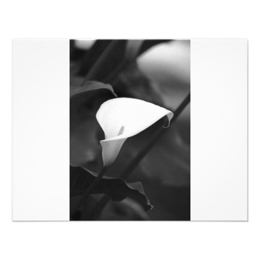 Cala-Lilly Flower Personalized Invites