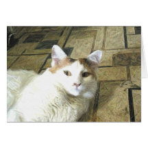 Calico Cat Note Card