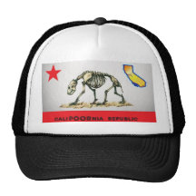 California is REALLY POOR Mesh Hats