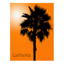 California Palm Postcards