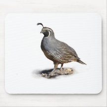 CALIFORNIA QUAIL MOUSE MATS