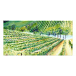 California Vineyard Photo Card